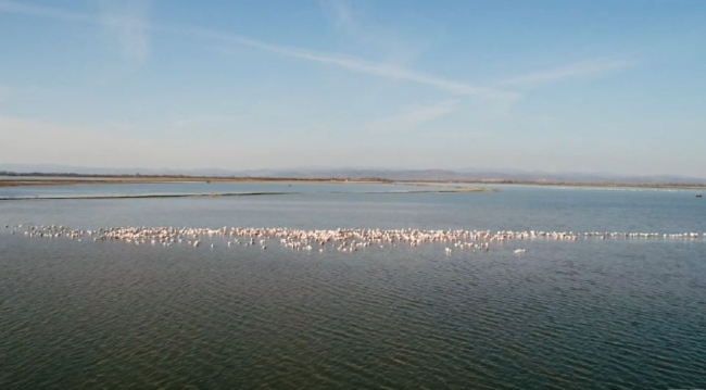 Edirne'deki Gala Gölü ekoturizm merkezi olmaya aday